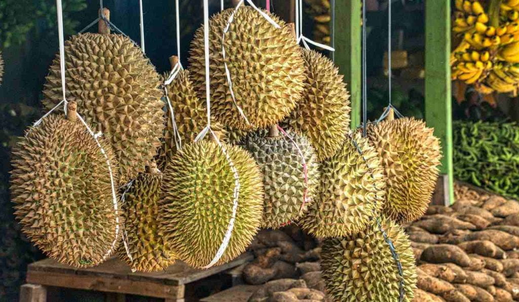Durian Delivery in Singapore Credits: https://www.pexels.com/@tomfisk/